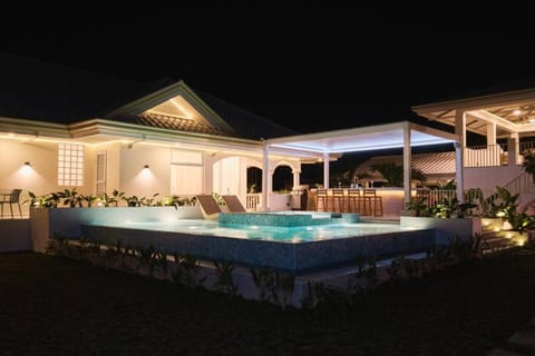 Alesea Tammocalao La Union Beachfront Villa - Jacuzzi, Two Pools Villa in La Union