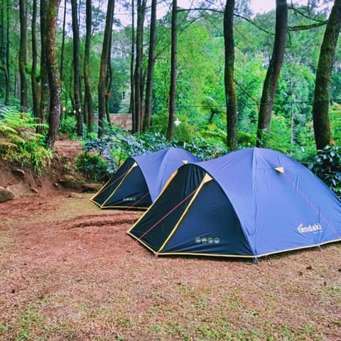 Bukit Madu Family Camp Luxury tent in Cisarua