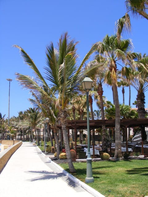 Esmeralda complex Apartment in Castillo Caleta de Fuste