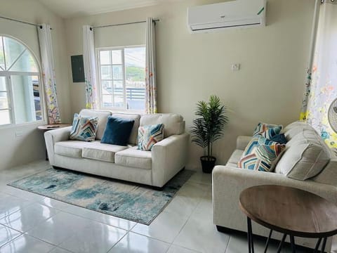 Living room, Seating area, air conditioner