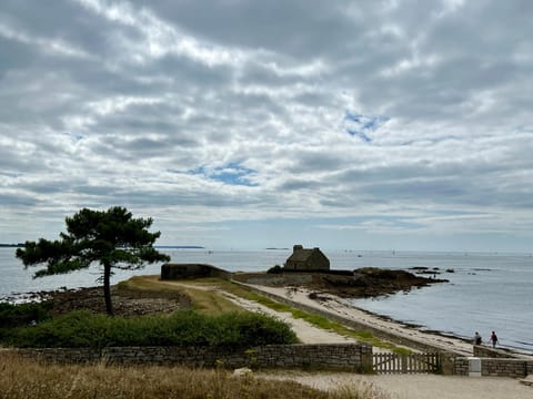 Nearby landmark, Natural landscape