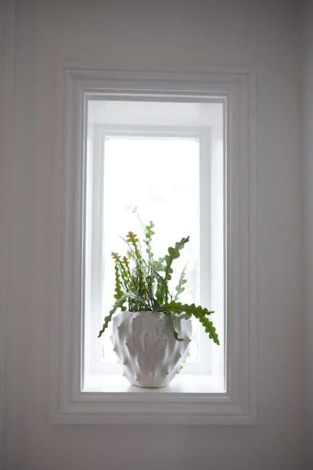 Decorative detail, kitchen