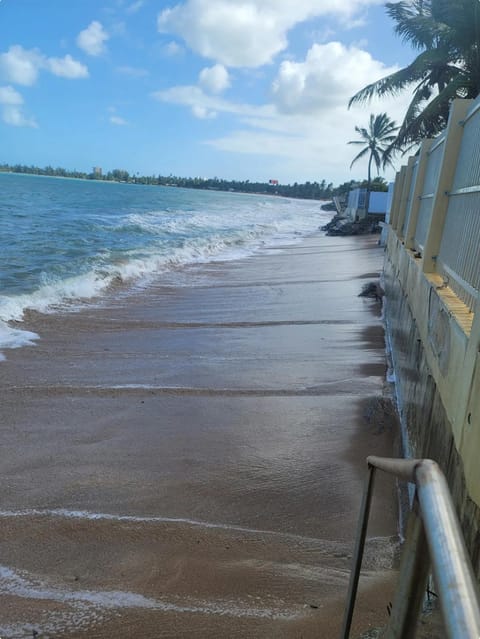 Day, Beach, Sea view