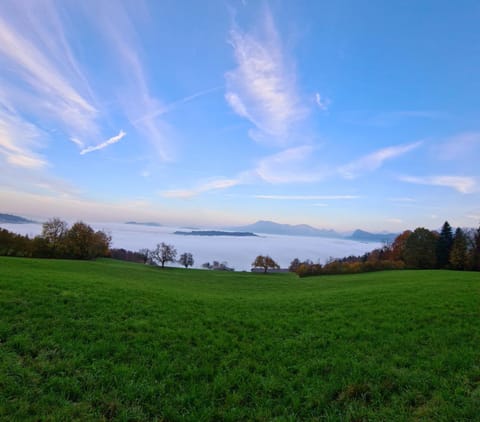 Natural landscape, View (from property/room), Hiking