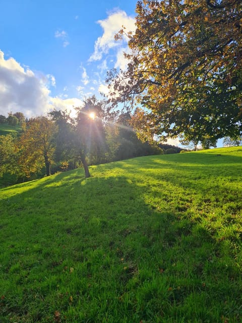 Day, Natural landscape, Hiking, Autumn