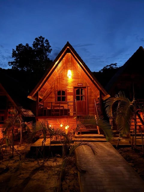 Property building, Night, Garden view