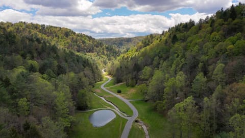 Golden Eagle Landing House in Watauga