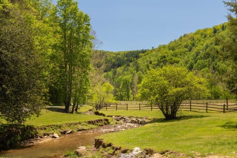 Idles Spur House in Watauga