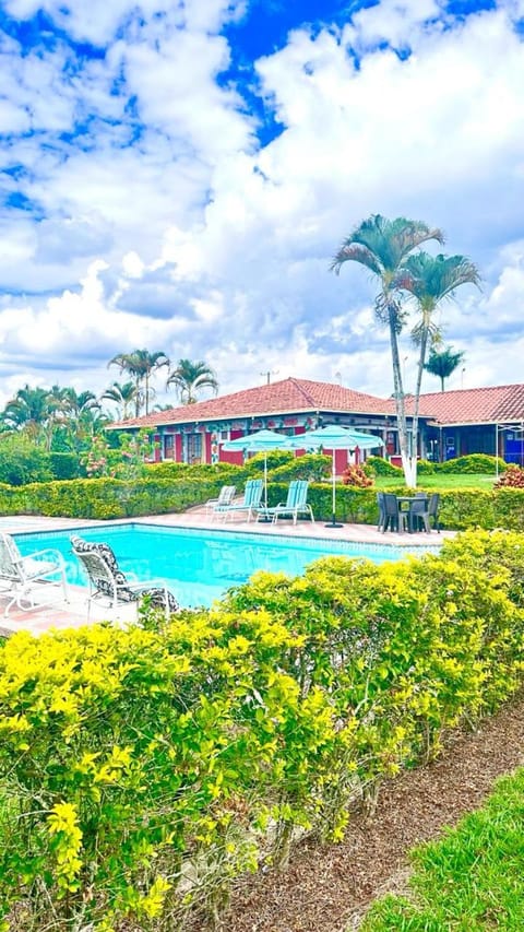 Spring, Day, Natural landscape, Garden, Pool view, Swimming pool