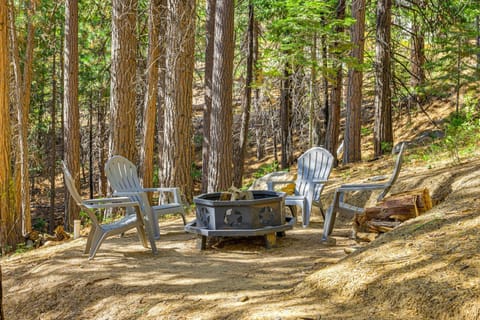 Treelined Retreat Cozy Cold Springs Cabin House in Calaveras County