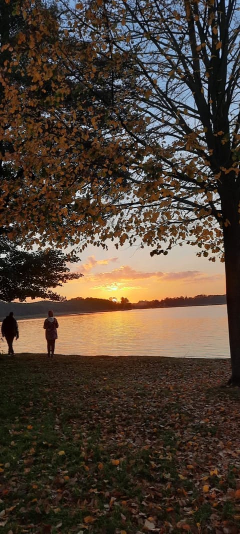 Natural landscape, Lake view, Sunset