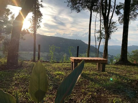 Spring, Day, Natural landscape, Mountain view