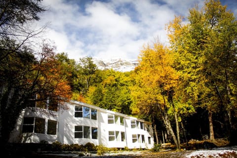 Property building, Spring, Day, Autumn, On site