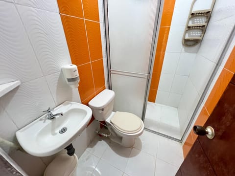 Shower, Toilet, Bathroom, bidet