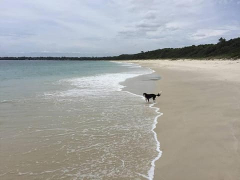 Paws and Pause at The Bay House in Callala Bay