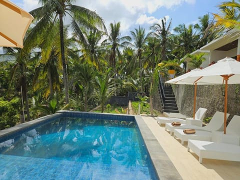 Pool view, Swimming pool, Swimming pool, sunbed