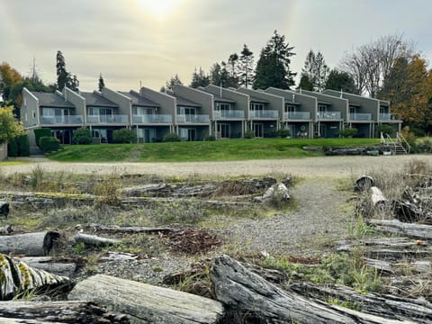 Property building, Natural landscape, Beach