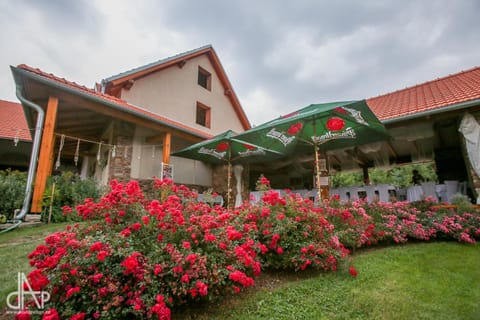 Spring, Garden, Garden view