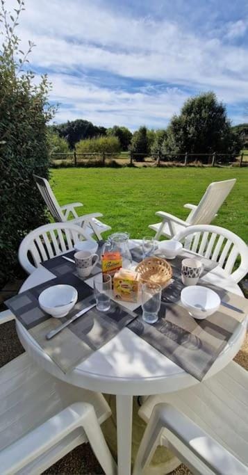 Day, Natural landscape, Food and drinks, Dining area, Garden view, Breakfast