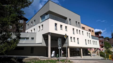 Pension Janský Potok II. Apartamento in Lower Silesian Voivodeship
