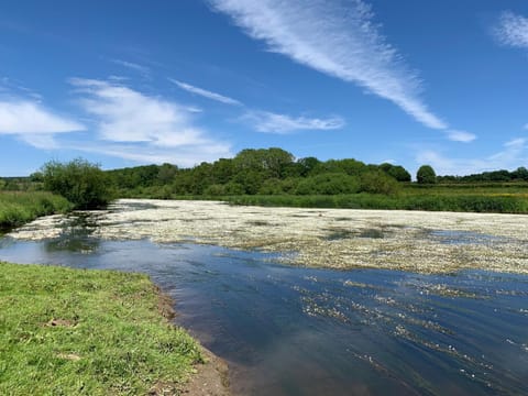 River view