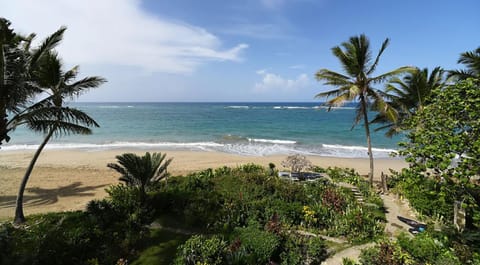 Beach, Sea view