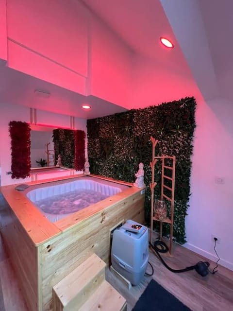 Love room jacuzzi proche centre ville Apartment in Amiens