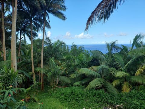 La terrasse vanillée House in Réunion