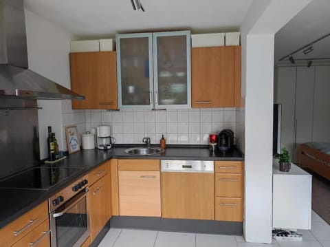 Kitchen or kitchenette, dishwasher, oven, stove