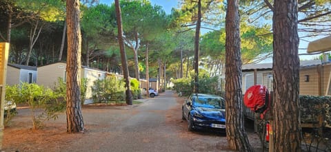 Quiet street view