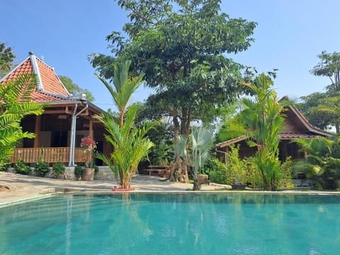 Garden, Pool view, Swimming pool, Swimming pool