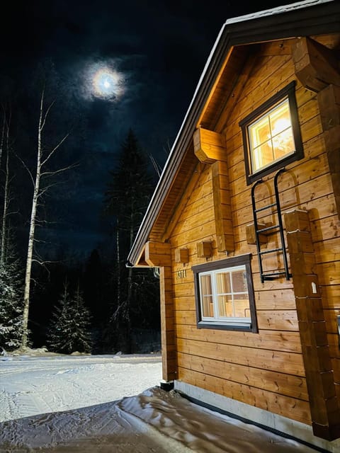 Arctic log house Hirvas Chalet in Rovaniemi