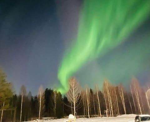 Arctic log house Hirvas Chalet in Rovaniemi