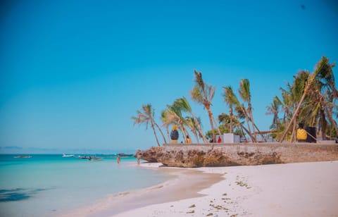 Baraka Beach Bungalows Hotel in Nungwi