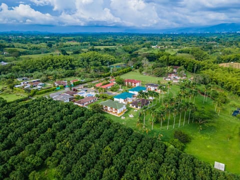 Natural landscape, Bird's eye view