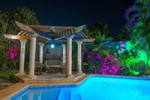 Patio, Night, Natural landscape, Garden, Garden view, Pool view, Swimming pool, sunbed