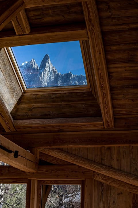 Chalet Bonami 450 m2 salle cinema jacuzzi hammam Chalet in Chamonix