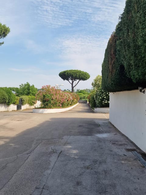 Anthony Catese House in Terracina