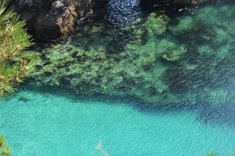 charme au centre de morgat , les plages et les restaurants a pied Villa in Crozon