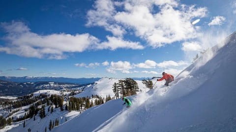 Natural landscape, Winter, Skiing