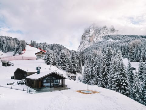 Natural landscape, Winter, Mountain view