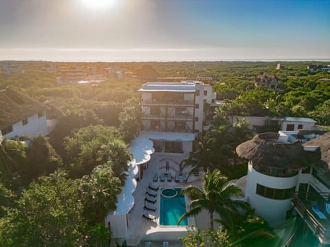 Property building, Bird's eye view