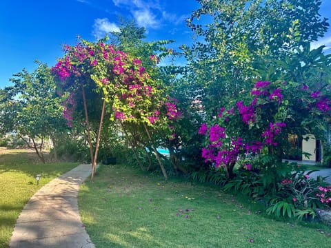 Sanur ocean view villas Bed and Breakfast in Denpasar