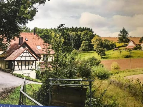 Schlossmühle Ehrstädt im Herzen der Natur Apartment in Sinsheim