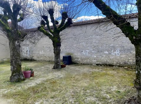 Spring, Day, Garden, Garden view, Parking