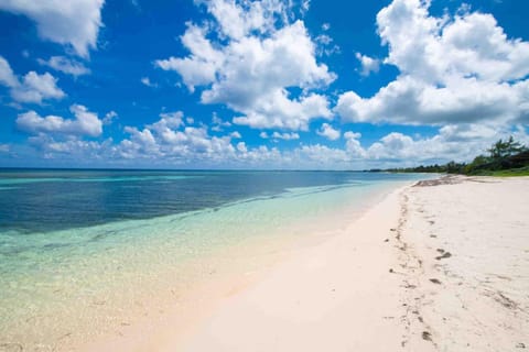 Natural landscape, Beach, Sea view