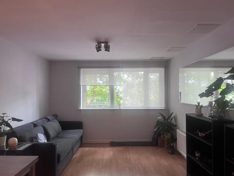 Chill vibe in one bedroom flat Apartment in Enfield