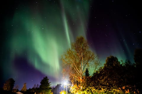 Night, Natural landscape