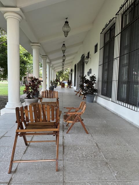 Patio, Garden view