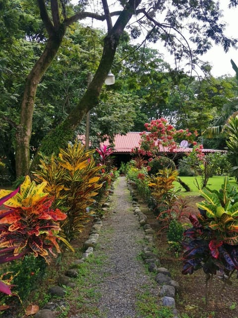 Patio, Garden